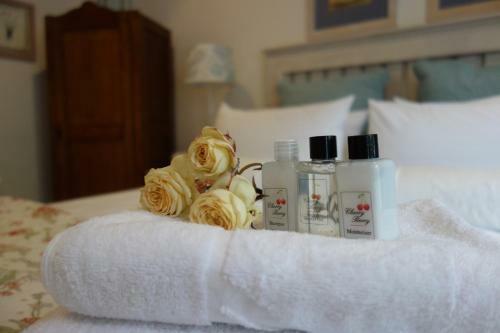 Hostal Cherry Berry Guest House