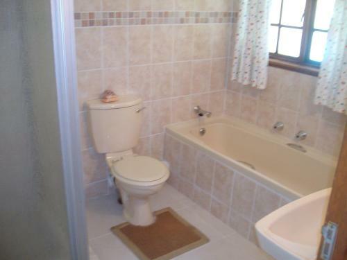 Hostal Oaktree Lodge Guest House