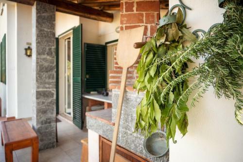 Casa Cl�