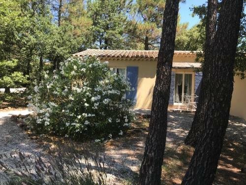 Bed & Breakfast Le Clos Des Cigales