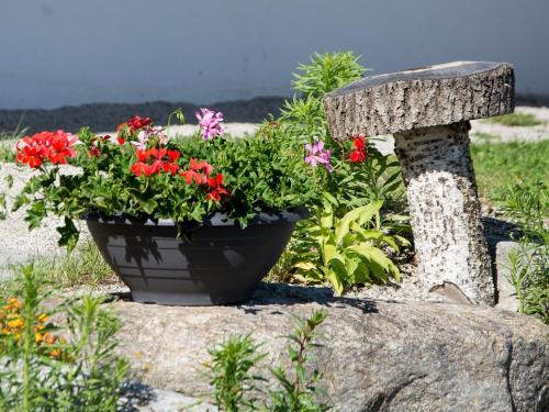 Agroturismo Oberbaumgartnerhof