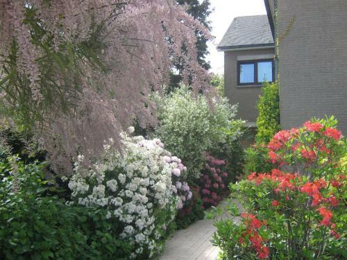 Prince D'orange Bed & Breakfast