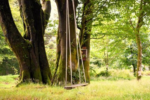 Agroturismo Tor Royal Farm