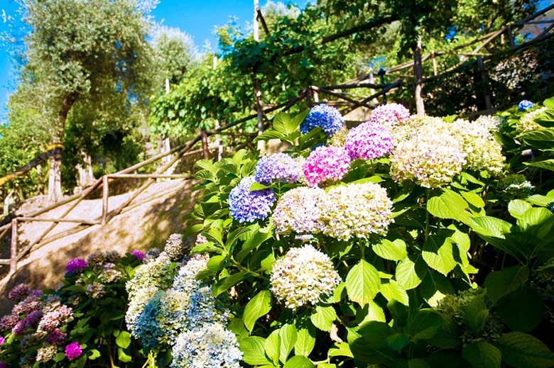 Bed & Breakfast Villa Oriana Relais