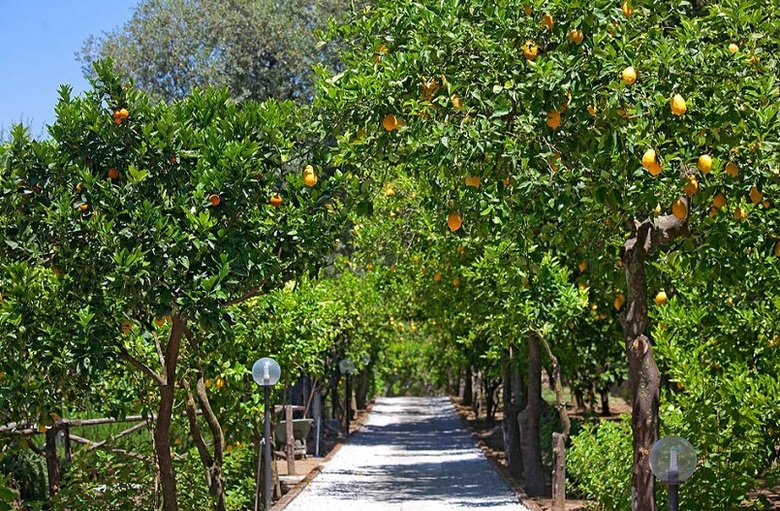 Bed & Breakfast Villa Oriana Relais