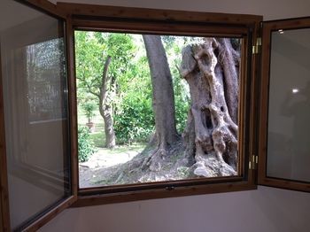 Apartamento Villino Chalet Paradiso