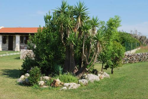 Agroturismo Farm Stay Masseria 30 Mogge