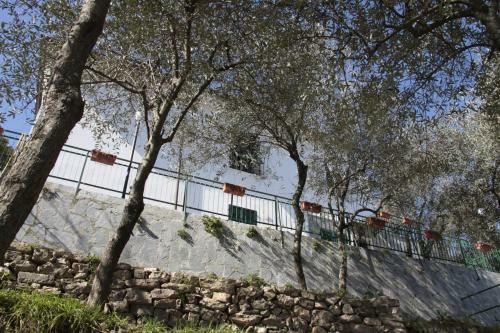 Hostal La Spezia Holidays' Rooms