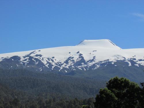 Hostal Caba�as Pehuen Neltume