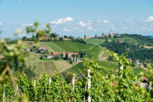 Agroturismo Weingut Schauer