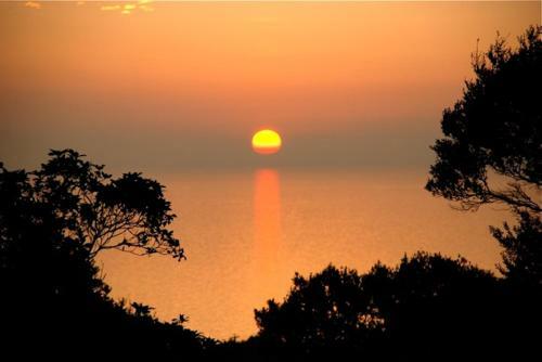 Hostal Villa Mallorca