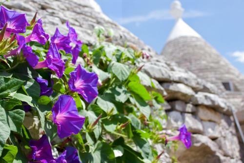 Agroturismo Antica Aia B&B