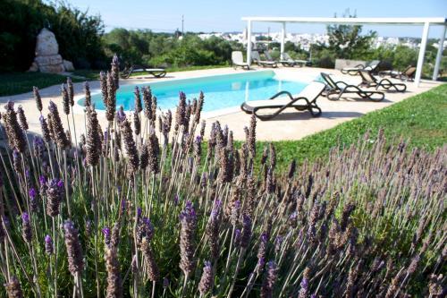 Agroturismo Antica Aia B&B