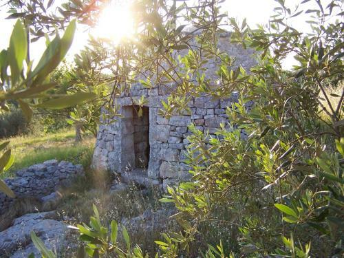 Agroturismo Antica Aia B&B