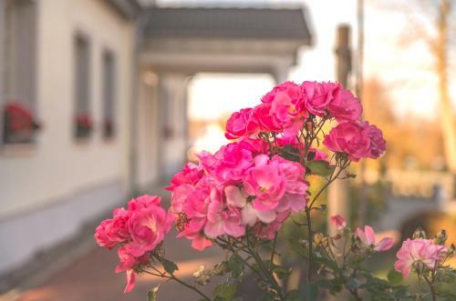 Hostal Gutshaus Insel Poel
