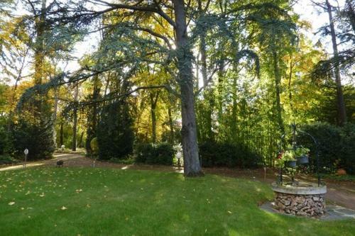 Bed & Breakfast Le Buisson