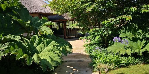 Amazian Mountain River Lodge