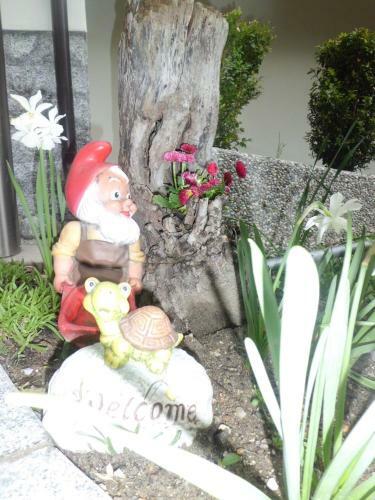 Apartamento Appartments Stoanegg
