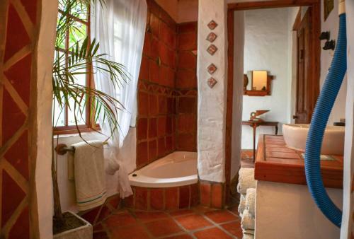 Hostal Old Thatch Lodge
