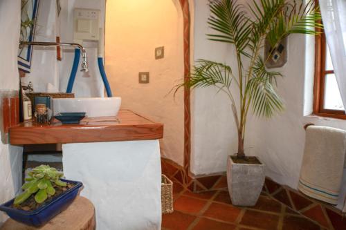 Hostal Old Thatch Lodge