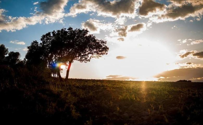 Agroturismo Casa Rural Rosa