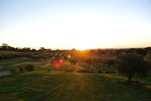 Bed & Breakfast The Farm Willunga