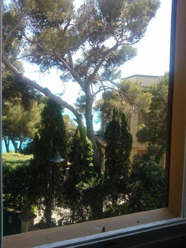 Apartamento Villa Violetta