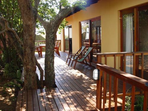 Umbrella Tree B&B