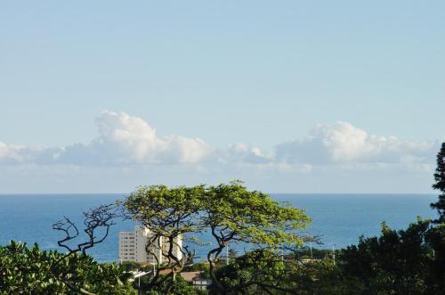 Umbrella Tree B&B