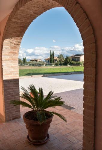 Bed & Breakfast Rosa Di Assisi