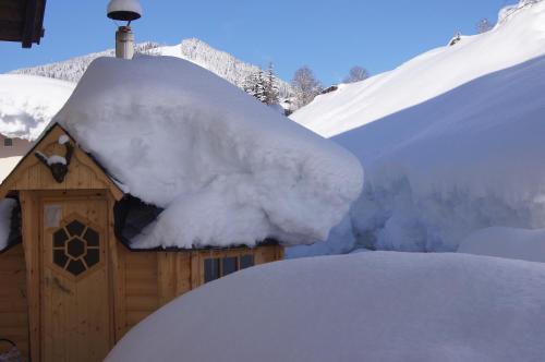 Apartamento Alpin Chalet Eder Steiner