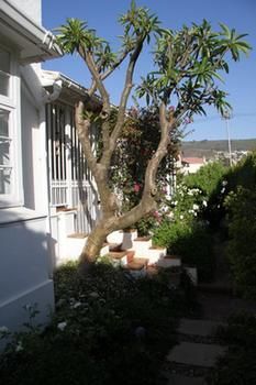 Hostal 5 Camp Street Guesthouse & Self-catering