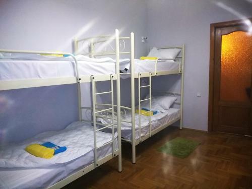 Olive Hostel