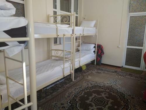 Olive Hostel