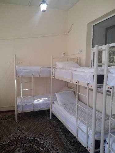 Olive Hostel