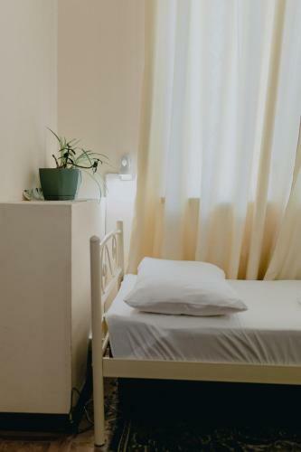 Olive Hostel
