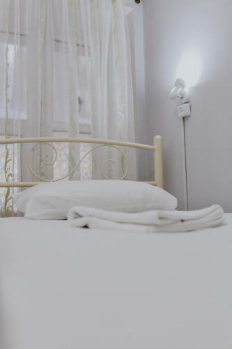 Olive Hostel