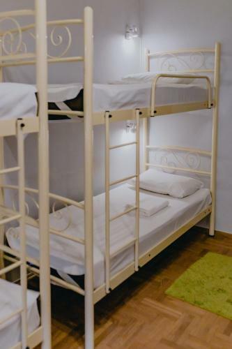 Olive Hostel