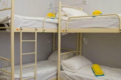 Olive Hostel