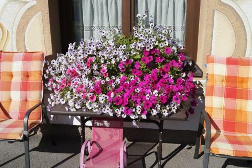 Apartamento Appartment Karwendelblick