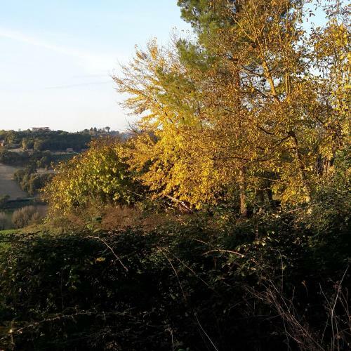 Agroturismo Casa Vacanze Le Corone