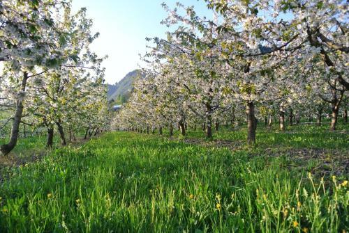 Agroturismo Agritur Bortolotti