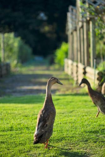 Agroturismo Boschendal Cottages