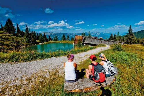 Apartamento Schieplechnerhof