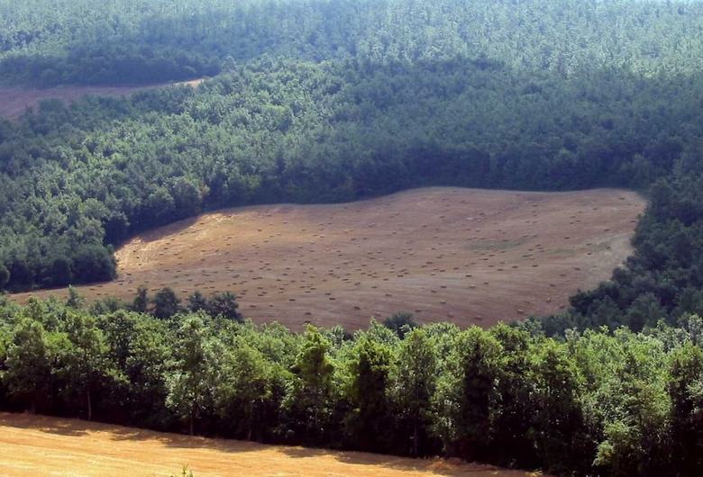 Agroturismo L'albero Bianco
