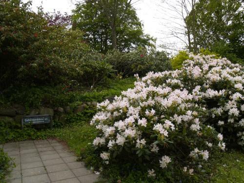 Apartamento Juhl's Bed & Breakfast