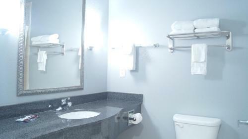Hotel Magnolia Inn And Suites Olive Branch
