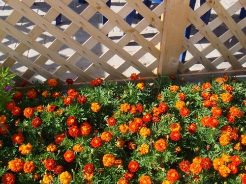 Hostal Leto-arabatka Resort