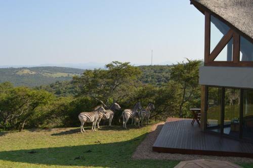 Agroturismo Jbay Zebra Lodge