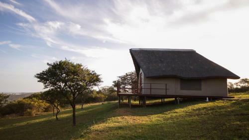 Agroturismo Jbay Zebra Lodge